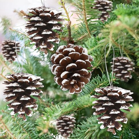 24 PCS Natural Pine Cones, 1.96 IN Pinecone Ornaments, Pine Cones for Crafts with Sliver String, Decorative Diy Pine Cones for Christmas Tree Christmas Table Decorations, Winter Decor Vase Filler in Kuwait