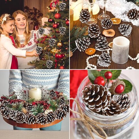 24 PCS Natural Pine Cones, 1.96 IN Pinecone Ornaments, Pine Cones for Crafts with Sliver String, Decorative Diy Pine Cones for Christmas Tree Christmas Table Decorations, Winter Decor Vase Filler in Kuwait