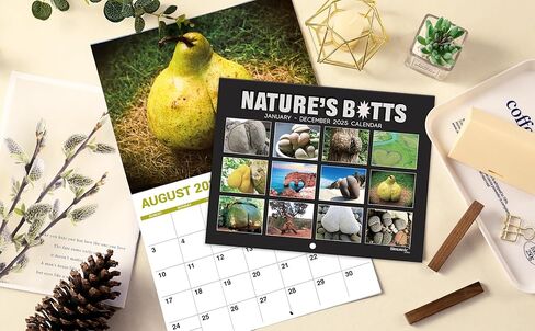 هدايا الكمامة - تقويم حائط 2025، بأعقاب طبيعة الفيلة البيضاء، تقويم 2025 بورق سميك، 8.5 بوصة × 11 بوصة، يناير 2025 - ديسمبر 2025، 12 مخطط تقويم شهري، تقويم حائط 2025، تقويم مضحك للعائلة والأصدقاء in Kuwait