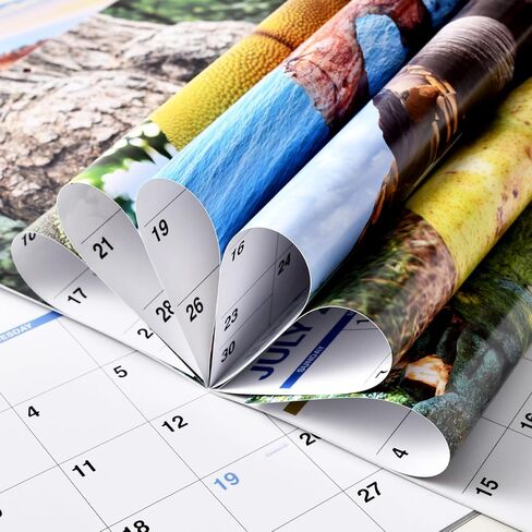 هدايا الكمامة - تقويم حائط 2025، بأعقاب طبيعة الفيلة البيضاء، تقويم 2025 بورق سميك، 8.5 بوصة × 11 بوصة، يناير 2025 - ديسمبر 2025، 12 مخطط تقويم شهري، تقويم حائط 2025، تقويم مضحك للعائلة والأصدقاء in Kuwait