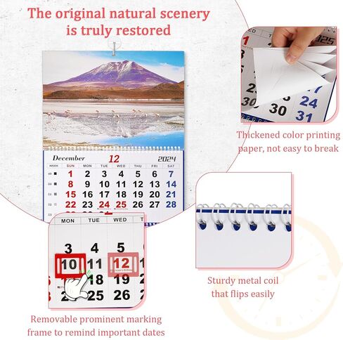 تقويم حائط 2025 تقويم شهري لمدة 3 أشهر تقويم جداري كبير ورق سميك 2024-2026 تقويم 14 شهرًا لمكتب العائلة (أزرق-1) in Kuwait