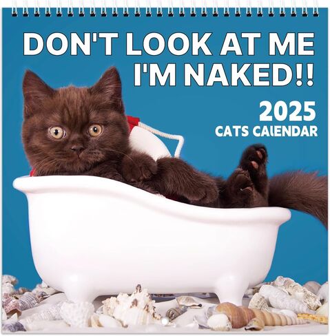 2025 Calendar - 2025 Wall Calendar, Pi-d-off Cats Calendar 2025, Jan. 2025 - Dec. 2025, 9.64" x 19.3" 2025 wall Calendar (open), Funny Calendar, Calendars with Unruled Blocks, Everyday Holidays - Funny Cats in Saudi Arabia