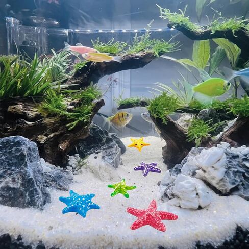 مجموعة أشكال نجم البحر الصغيرة 8 قطع من Hiawbon، أشكال حيوانات نجم البحر البحرية المصغرة مقاس 1.77 بوصة، مجموعة تمثال نجم البحر ذات المناظر الطبيعية المصغرة، تمثال صغير لنجم البحر على الشاطئ لتزيين كعكة الحديقة الخيالية in Kuwait