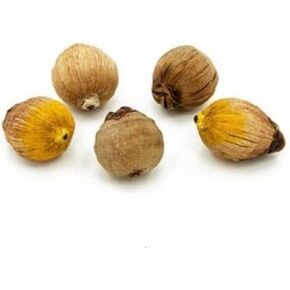 laghu nariyal for Pooja, Ekakshi Nariyal - One Eyed Coconut - Wooden Yantra for Pooja, Diwali Pooja, hawan Pooja, Pooja Item Hindu god (Pack of 5 pcs)