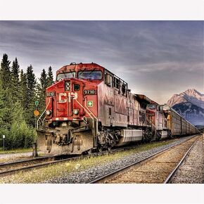 Paint by Number Acrylic Kit On Canvas for Adults Beginner -Forest Train,16X20 Inch