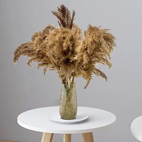 10PCS Dried Pampas Grass Decor Bohemian Floral Home Dining Table décor Wedding Decor Rustic Decor DIY Floral Arrangements for Home Office Decoration Dried Flowers Bouquet for Wedding Floral