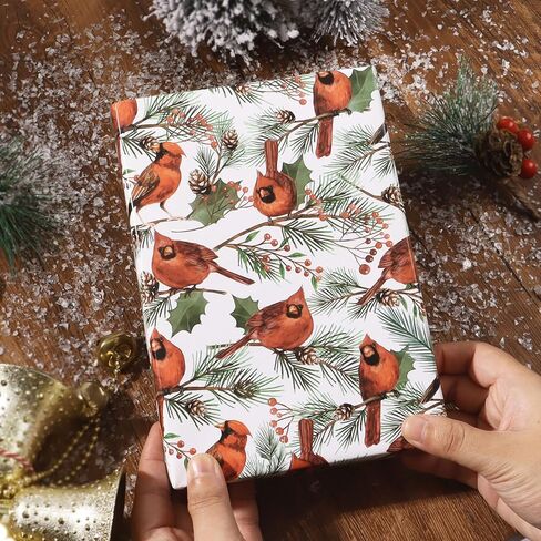 4 أوراق ورق تغليف عيد الميلاد الكاردينال ريد بيرد وهولي بيري تصميم عطلة الشتاء ورق تغليف الهدايا 20 × 28 بوصة in Kuwait
