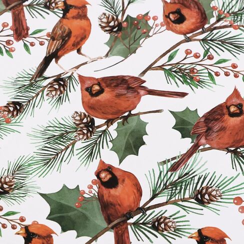 4 أوراق ورق تغليف عيد الميلاد الكاردينال ريد بيرد وهولي بيري تصميم عطلة الشتاء ورق تغليف الهدايا 20 × 28 بوصة in Kuwait