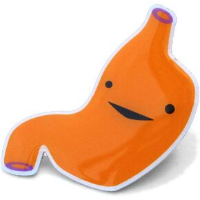 I Heart Guts Stomach Lapel Pin - I Ache For You