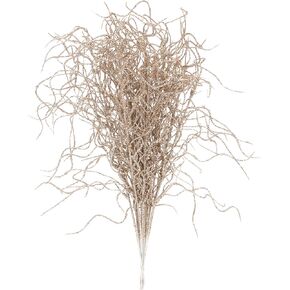 فريق البحر 36 حزمة من زخارف غصين الكرمة اللامعة الاصطناعية، أعواد اللحية المجعدة المزخرفة، السيقان اللامعة، اللقطات، الفروع لشجرة عيد الميلاد، مزهرية صغيرة، العطلات، الزفاف، الحفلات (12 بوصة، الشمبانيا) in Kuwait