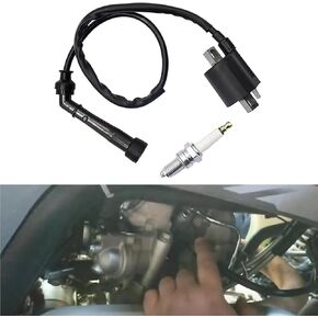 FZJDSD 3YF823700000 1PC Ignition Coil Spark Plug Compatible with Yamaha Raptor 660R YFM660R Grizzly 660 Rhino 660 YFM660FA 2001-2008 Replace 5FU823100000 3KJ823101000 3YF-82370-00-00 5FU-82310-00-00