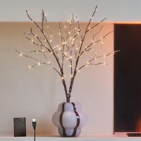 Hairui Lighted Willow Branches Snow Dusted Battery Operated with Timer, Tree Branch Lights 32IN 100 LED Fairy Lights for Home Bedroom Fireplace Thanksgiving Christmas Decor (Vase Excluded)