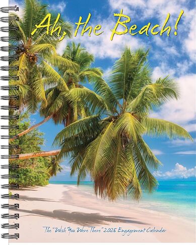 Willow Creek Press Ah, The Beach! Softcover Weekly Planner 2025 Spiral-Bound Engagement Calendar (6.5" x 8.5") in Saudi Arabia