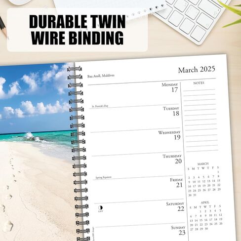 Willow Creek Press Ah, The Beach! Softcover Weekly Planner 2025 Spiral-Bound Engagement Calendar (6.5" x 8.5") in Saudi Arabia