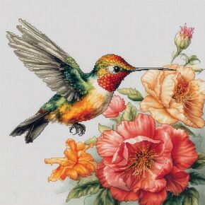 Watercolor Floral Hummingbird 11CT Cross Stitch Kits for Beginners Color Printed Stamped Cross-Stitch Supplies Needlework Printed Embroidery Kits DIY Kits Needlepoint Starter Kits 50x50cm (s127)