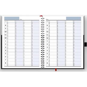 Hourly Appointment Book, Scheduling Book, Daily Schedule Planner with 15 Minutes Increments, Business Appointment Book for Multiple Schedules, Business Planner, Updated, 2 Years, Large, HARDCOVER