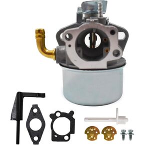 labwork New Carburetor Replacement for Briggs Stratton 698479 591925 698475 693518 with Gaskets