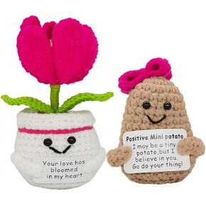 2 Pcs Mini Cute Funny Positive Life Bunny Creative Knitted Animal Holding Card Crochet Easter Birthday Christmas Girls Gift (Pair 03) in Kuwait