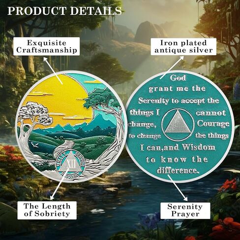 CHURYUML 12 Year Sobriety Coin Nature Landscape Sobriety Chip Sobriety Gifts for Women Men AA Coins Recovery Medallions Alcoholics Anonymous Addiction Recovery Gifts Affirmation Token in Saudi Arabia