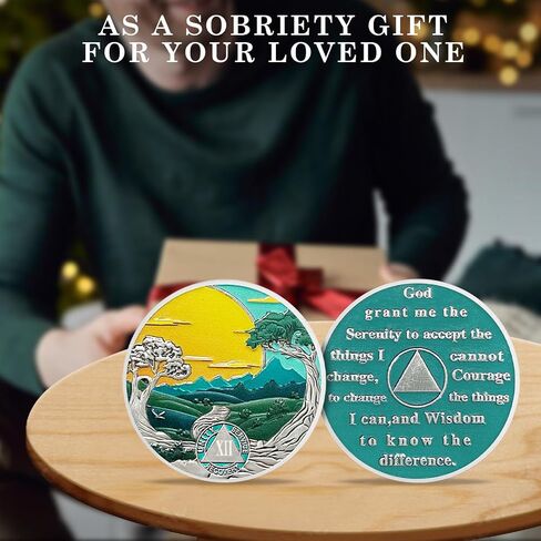 CHURYUML 12 Year Sobriety Coin Nature Landscape Sobriety Chip Sobriety Gifts for Women Men AA Coins Recovery Medallions Alcoholics Anonymous Addiction Recovery Gifts Affirmation Token in Saudi Arabia
