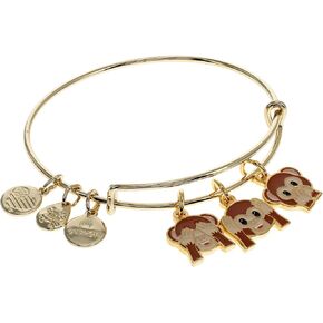Alex and Ani See Hear Speak Emoji Expandable Wire Bangle Bracelet,Shiny Gold Finish,Brown Charm