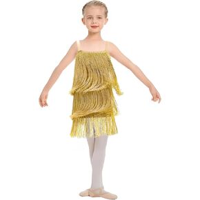 Little Kids Girls Sequin Fringe Dress - Sparkly Tassel Sleeveless Zip Back Party Latin Dance Wear Concert Outfits