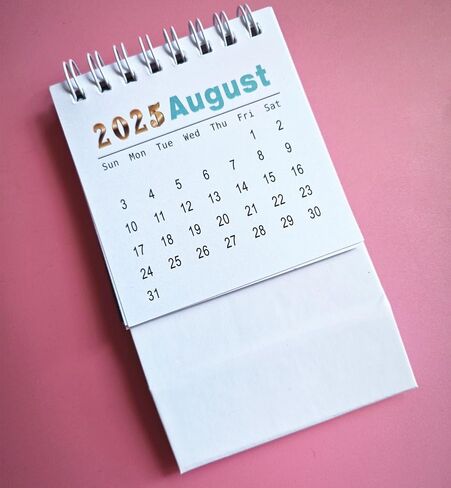 Mini Desk Calendar 2024-2025, 18 Months July 2024 to December 2025 Small Desktop Standing Flip Calendar, Dual Coils 4"x3" Tiny Monthly Planner for Office Home Classroom (Purple) in Saudi Arabia