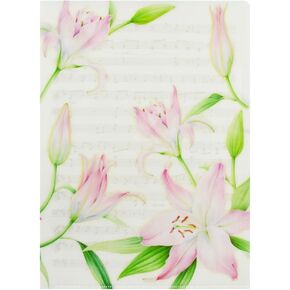 Plastic Documents File Folder, Lily, Clear Pockets Plastic Sleeves, A4 (6 Packs, Bulk Pack)