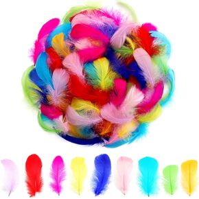 300pcs Colorful Feathers 2-3 Inches Bulk Feathers for Crafting, Dream Catcher Accessories, Art Projects, DIY Crafting, Handi Crafts, Party Decoration