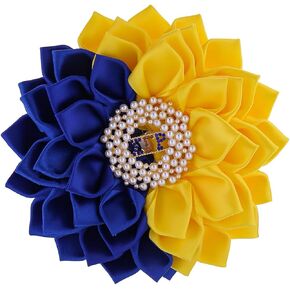 Sigmaa Gamma Rho Brooch Pin for Women 1922 Greek Sorority Paraphernalia Jewelry
