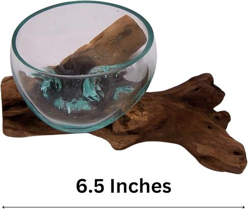 Small Glass Bowl on Driftwood Figurine, Freestanding Nautical Home & Office Decor, Beach Themed Decoration, 6.5 Inches in Saudi Arabia