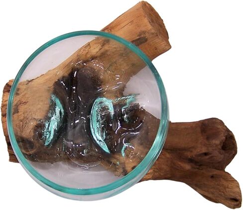 Small Glass Bowl on Driftwood Figurine, Freestanding Nautical Home & Office Decor, Beach Themed Decoration, 6.5 Inches in Saudi Arabia