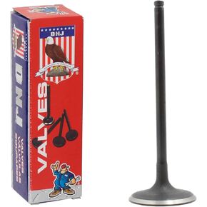 DNJ IV174 Intake Valve for 2006-2016/ Hyundai, Kia/Amanti, Azera, Borrego, Cadenza, Entourage, Genesis, Genesis Coupe, K900, Santa Fe, Sedona, Sonata, Sorento, Veracruz/ 3.3L, 3.5L, 3.8L/ V6/ DOHC