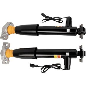 EG9Z18125D Rear Shock Absorber Struts Assemblies Compatible with Lincoln MKZ 2.0L 3.7L 2013-2020, for Ford Fusion 1.5L 1.6L 2.0L 2.5L 2013-2017# ASH24635 EG9Z18125L ASH24651 2PCS