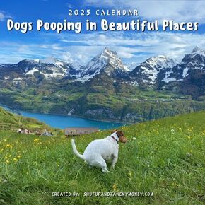 Dogs Going In Beautiful Places - 2025 Calendar Great Gag Gift Christmas White Elephant