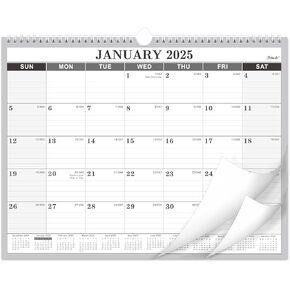 2025 Calendar - 2025 Wall Calendar, Jan. 2025 - Dec. 2025, 14.6'' x 11.4", Large Wall Calendar with Highlighted Holidays, Twin-Wire Binding, Perfect Calendar for Planning