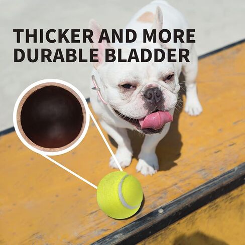 AFP Automatic Ball Launcher for Dogs Interactive Puppy Pet Ball Indoor Thrower Fetch Machine for Small and Medium Size Dogs, 3 Balls Included (2 inch) Mini in Saudi Arabia