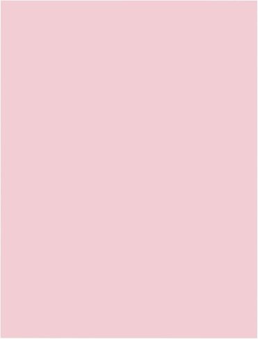 LEXININ 12 قطعة 6 × 4 بوصة كتلة نحت مطاطية وردية، 1/3 بوصة سميكة ناعمة نحت كتل مشمع مطاطية، نحت طوابع مطاطية للحرف اليدوية in Kuwait