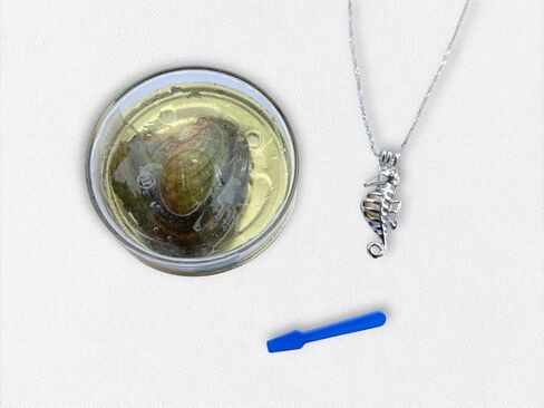 Love Wish Pearl Kit Chain Necklace Kit Pendant Cultured Pearl in Kit Set with Stainless Steel Chain 16" (16, Sea Horse) in Saudi Arabia