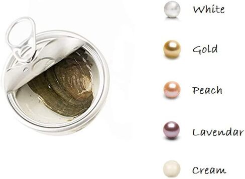 Love Wish Pearl Kit Chain Necklace Kit Pendant Cultured Pearl in Kit Set with Stainless Steel Chain 16" (16, Sea Horse) in Saudi Arabia