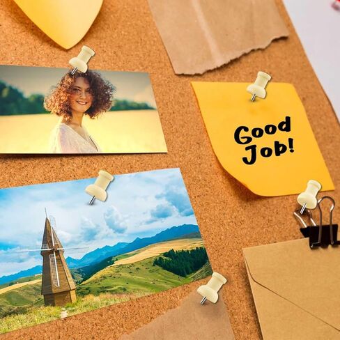 100 قطعة من دبابيس الدفع الخشبية المزخرفة للوحة الفلين، مسامير إبهام خشبية للمكتب والمنزل، دبابيس خشبية للخريطة، دبوس رأس خشبي للوحات الإعلانات، المشاريع الحرفية، صور الحائط، خرائط الحائط، دبابيس وضع العلامات مع صندوق تخزين in Kuwait