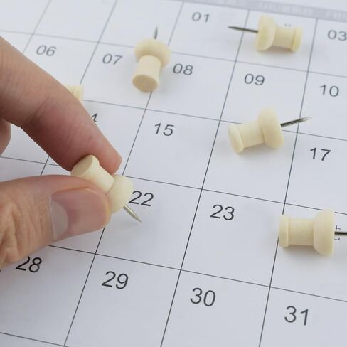 100 قطعة من دبابيس الدفع الخشبية المزخرفة للوحة الفلين، مسامير إبهام خشبية للمكتب والمنزل، دبابيس خشبية للخريطة، دبوس رأس خشبي للوحات الإعلانات، المشاريع الحرفية، صور الحائط، خرائط الحائط، دبابيس وضع العلامات مع صندوق تخزين in Kuwait