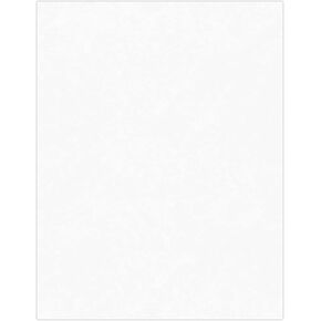 LUXPaper 8.5" x 11" Paper for Crafts and Printing in Clear Translucent Scrapbook and Office Supplies, 50 Pack (Translucent)