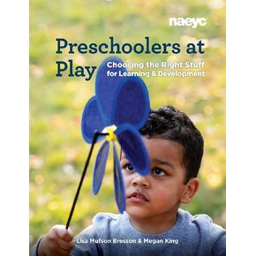 Preschoolers at Play: Choosing the Right Stuff for Learning and Development