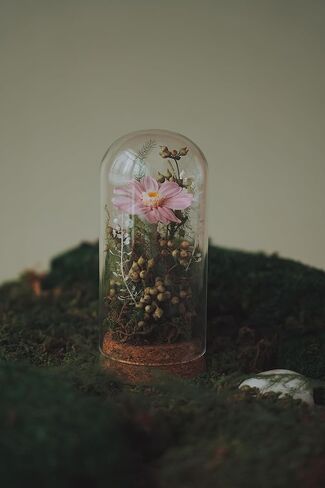 Handmade Preserved Sunflower in Glass Dome Eternal Real Rose Flower for Her,Valentine’s Day, Christmas, Mother’s Day, Birthday, Anniversary, Wedding, Thanksgiving Gifts for Women (Pink) in Saudi Arabia