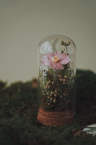 Handmade Preserved Sunflower in Glass Dome Eternal Real Rose Flower for Her,Valentine’s Day, Christmas, Mother’s Day, Birthday, Anniversary, Wedding, Thanksgiving Gifts for Women (Pink) in Saudi Arabia