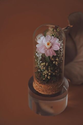Handmade Preserved Sunflower in Glass Dome Eternal Real Rose Flower for Her,Valentine’s Day, Christmas, Mother’s Day, Birthday, Anniversary, Wedding, Thanksgiving Gifts for Women (Pink) in Saudi Arabia