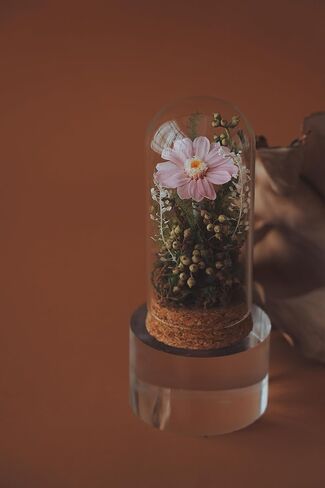 Handmade Preserved Sunflower in Glass Dome Eternal Real Rose Flower for Her,Valentine’s Day, Christmas, Mother’s Day, Birthday, Anniversary, Wedding, Thanksgiving Gifts for Women (Pink) in Saudi Arabia