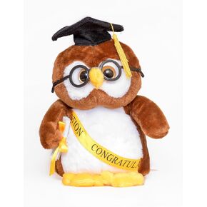 10" Brown Owl Graduation Plush with Cap and Diploma in Kuwait