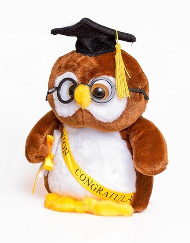 10" Brown Owl Graduation Plush with Cap and Diploma in Kuwait